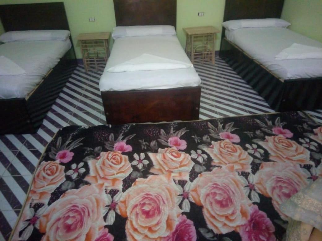 بيت شمس Aswan Ngoại thất bức ảnh